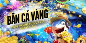 bắn cá vàng 2024