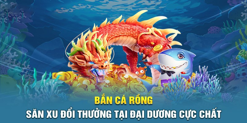 Chiến thuật săn cá rồng kiếm về bộn tiền