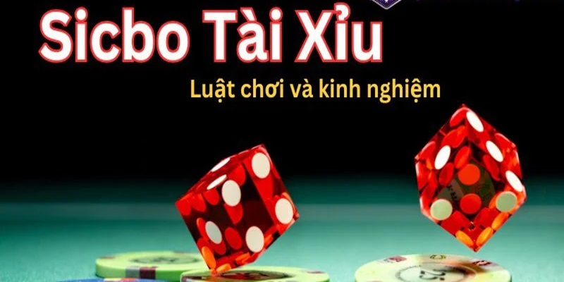 Bí quyết tham gia chơi sicbo tài xỉu hiệu quả